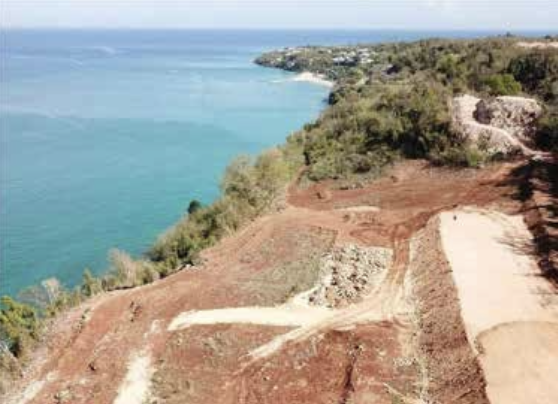 Defensa y Acción: Querellas Ante El DRNA En Aguadilla Y Ponce Por Destrucción Ambiental