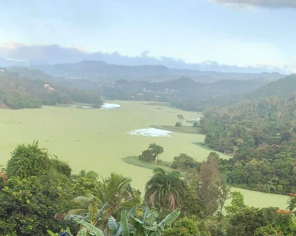 Sin atender la situación ambiental del Lago Carraízo