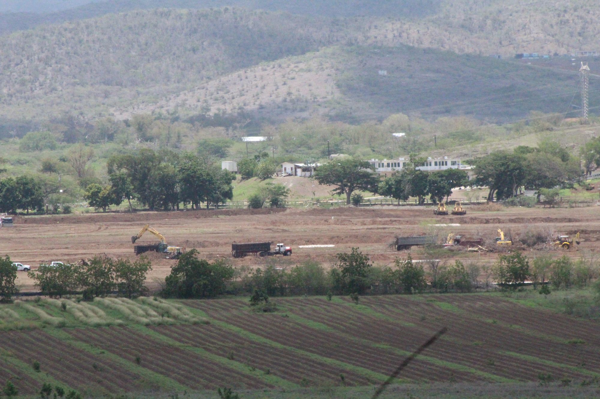 PIP pide investigar posible conflicto de interés del Secretario del Departamento de Agricultura