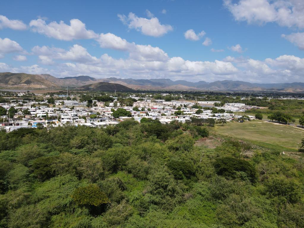 Proponen crear la Reserva Natural Abey en el pueblo de Salinas