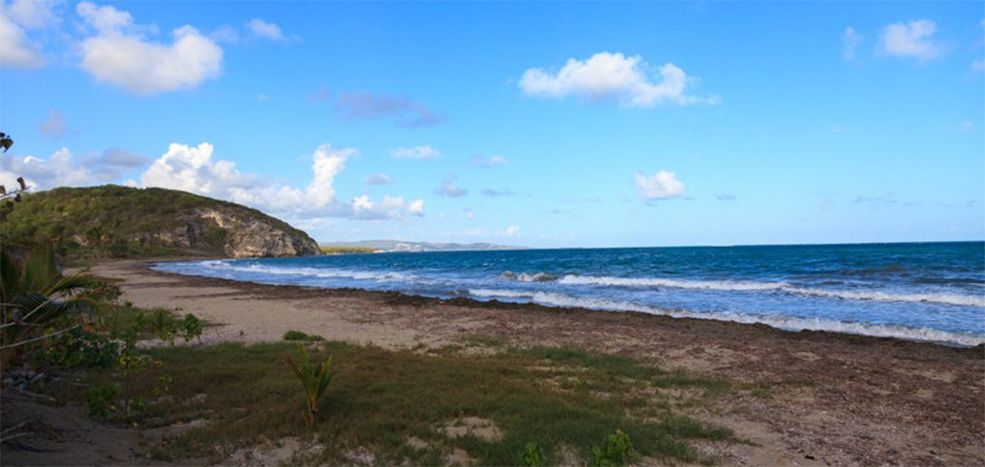 Sobre Playa Ventana y sus alrededores