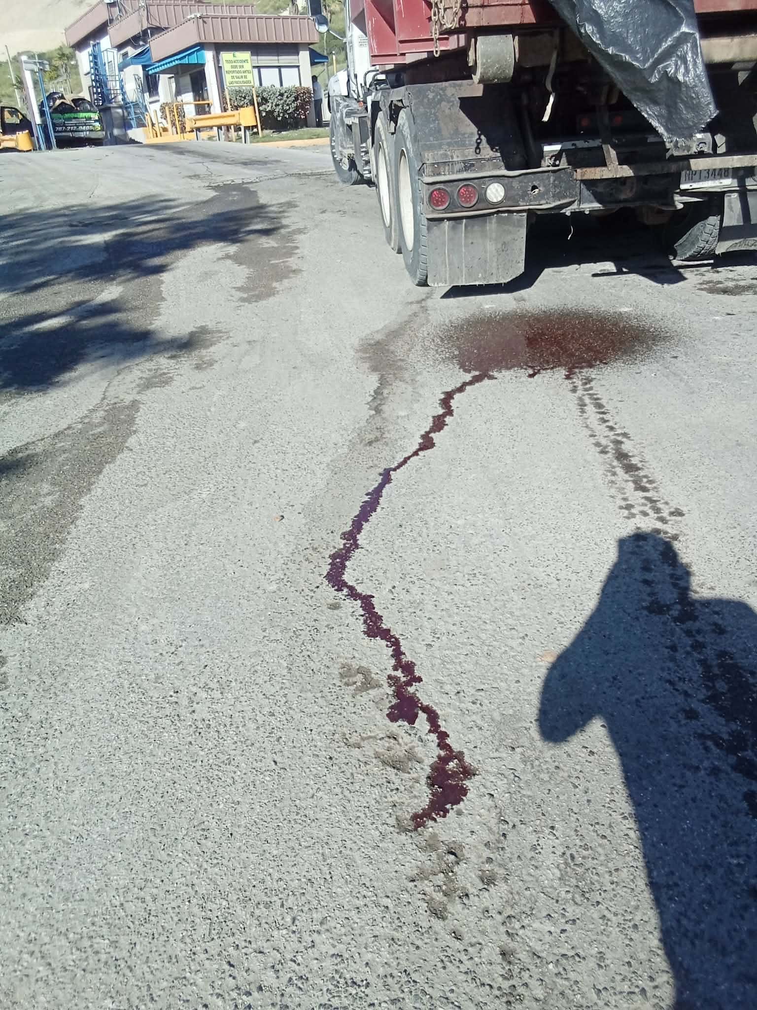 PIP urge investigar transporte de residuos de animales hacia vertedero en Ponce