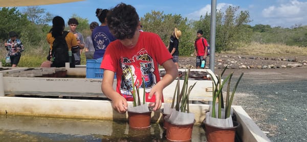 Comité Diálogo Ambiental celebró su 19na Convivencia Ambiental con el lema “Devolviendo la Vida al Suelo y al Agua”