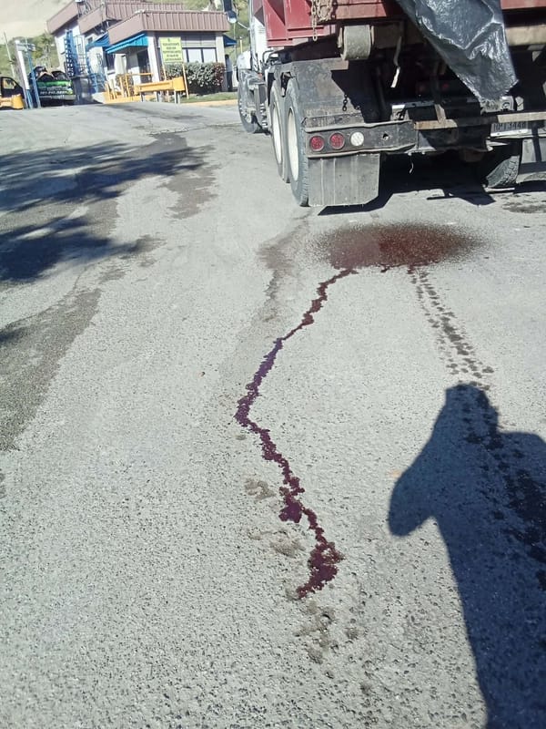 PIP urge investigar transporte de residuos de animales hacia vertedero en Ponce