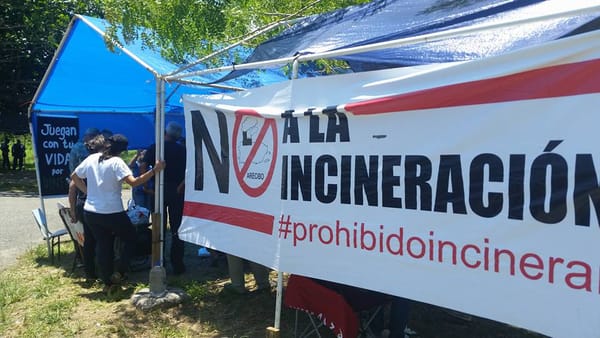 PIP denuncia conflicto de interés del Secretario de Recursos Naturales al asumir postura a favor de la incineración de basura